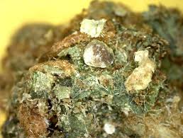 Pest analysis the pest analysis examines changes in a marketplace caused by political, economical, social and technological factors. Cannabis Contaminants How To Tell If Cannabis Is Laced Sensi Seeds