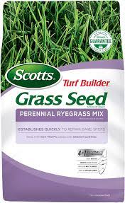 I have a question regarding watering, i've overseed 2 weeks ago using the scotts grass seed and i start seeing the newly grass coming up should i stop watering? Scotts Turf Builder Grass Seed Perennial Ryegrass Mix 7 Pound Amazon Ca Patio Lawn Garden