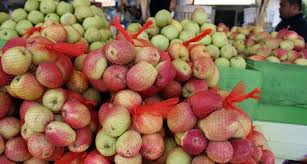 Gambar buah apel warna merah. Ini Dia Lima Jenis Apel Khas Malang