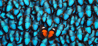 Unique Ringtone Free Instrumental Ringtones Download