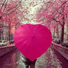 Pi K Heart Shaped Umbrella Plus Cherry Blossoms Is Awesome Parapluie Rose Photos Romantiques Photo Paysage Magnifique