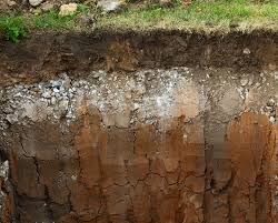 Factors affecting soil formation soils are formed through the interaction of five major factors. Soil Composition National Geographic Society
