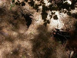 We did not find results for: Dakota Fire Hole