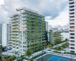 Image result for Monadenium torrei