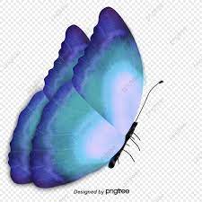 Butterfly Butterfly Clipart Blue Fly Png Transparent Clipart Image And Psd File For Free Download Butterfly Images Photography New Background Images Butterfly Clip Art