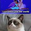 Grumpy cat in 2020 (with images) | funny grumpy cat memes. 1