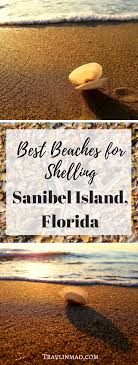 Where To Find The Best Beaches For Shelling On Sanibel