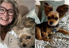 Canadians flagged at border for house-sitting say U.K. company misled them 