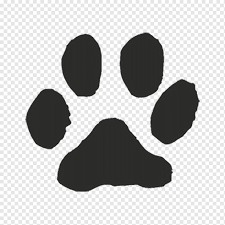 Iaitu, mereka meletakkan setiap bekas tapak kaki belakang (hampir) secara langsung dalam cetak. Cetakan Kucing Rapi Kaki Kucing Kucing Telapak Tangan Png Pngwing