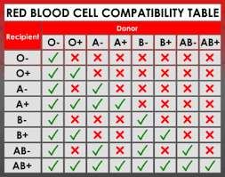 Rh Factor Blood Types Chart Blood Group Information