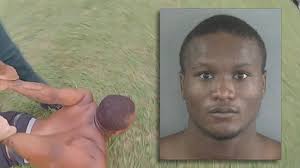 Video shows dramatic aftermath of shooting at Father's Day event in Florida