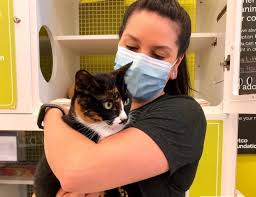 Maybe you would like to learn more about one of these? Nonprofit Texas Litter Control To Open Low Cost Veterinary Clinic In Humble Community Impact