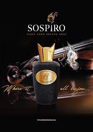 pin on perfumes extraordinarios