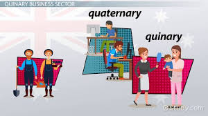 Quinary Sector Of Industry Definition Examples Video Lesson Transcript Study Com