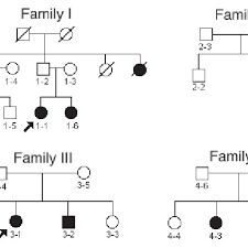Pedigrees Of Indian Families With Oculocutaneous Albinism