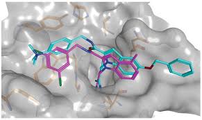 Computational approaches are useful tools to interpret and guide experiments to expedite the antibiotic drug design process. Computer Aided Drug Discovery F1000research