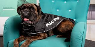 We did not find results for: Tail Waggingly Good Pet Transportation Service Launched By Iag Cargo Iag Cargo