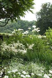 Artistloveworld White Gardens White Flower Farm Moon Garden