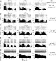 Possible if you suffer from migraines. Plos One Chr2 Mutants At L132 And T159 With Improved Operational Light Sensitivity For Vision Restoration