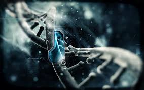 2560x1600 wallpapers for fans cyberbionic systematics. World Best Wallpapers Hd Group 0