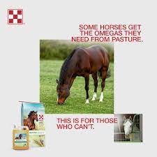 The unique fatty acid profile delivers benefits associated with fish oil, evening primrose oil, olive oil and flax seed oil. Purina Horse Feed New Purina Omega Match Ration Balancer And Ahiflower Oil Supplement Purina Omega Match Products Are Highly Palatable And Rich In Omega 3 Fatty Acids Try The Purina Omega Match