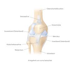 Lokalisation und schmerzcharakter geben bereits wichtige hinweise auf die ursachen der. Kniescheibenschmerzen Diagnose Und Behandlungen Klinik Pyramide