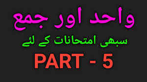 Direct access to urdu wahid jama list pdf and similar books : Gotest Wahid Jama Urdu Singular Plural Wahid Jama Urdu Grammar