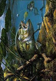 Maybe you would like to learn more about one of these? Pin By John Belanger On Bass Art Bass Fishing Pictures Fish Drawings Fish Painting