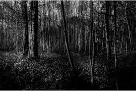 Photography fundraiser collects over 6.7 million pesos for Covid struggle