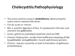 Stressors Of The Gallbladder Pancreas And Liver Ppt Download