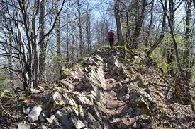 Wegwandern Ch Ø¹ÙÙ ØªÙÙØªØ± Herrliche Wanderung Auf Die Wasserflue Dem Dritthochsten Punkt Im Kt Aargau Es Wartet Eine Tolle Aussicht Feuerstelle Https T Co 45n8lyqer5 Aargautourismus Wasserfluh Wandern Aarau Jura Fruhling