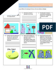 Amoeba sisters meiosis worksheet answer key. Amoeba Sisters Mitosis