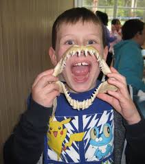 Kings Park Primary School