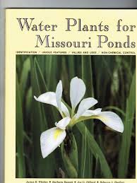 Water Plants For Missouri Ponds Whitley James R Bassett Barbara Dillard Joe G Haefner Rebecca A 9781887247214 Amazon Com Books