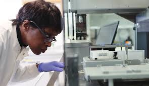 Looking to the Future