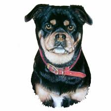 Black And Tan Pug Dog Portrait Painting Of Cute Black And Tan Pug Cutout Dog Portraits Painting Dog Portraits Dog Drawing
