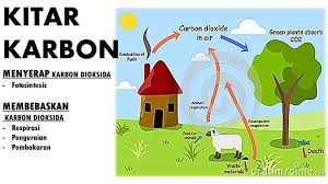 Kssm sains tingkatan 1 kerangka kurikulum standard sekolah menengah sains tingkatan 1 52 standard kandungan standard pembelajaran catatan 4.3 kitar haid 4.3.1 dan kitar karbon. Kitar Karbon A Star Academy Learning Centre ç²¾è‹±æ•™è‚²ä¸­å¿ƒ Facebook