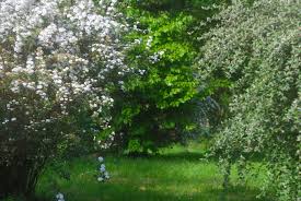 Petit Coin De Paradis Dans La Region Du Perche Entre Le Mans Et Chartres Lieu D Activite Du Studio Open Design Semis Lieux Fleurs