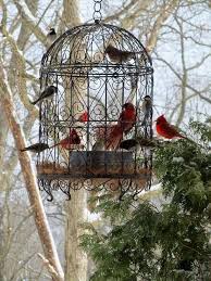 Caged Bird Feeders For Small Birds Best 25 Bird Feeders Ideas With Images Bird Garden Bird Feeding Station Bird Feeders