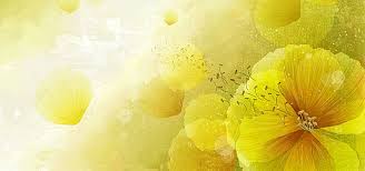 Yellow Floral Background Image Floral Background Free Flower Wallpaper Background Images