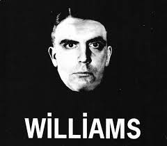 The Appeal Of Discarded Orthodoxy: A Tribute To David E. Williams