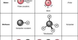 Consequently many are capable of hydrogen bonding with aqueous or polar solvents. Polar Molecules Examples Archives Pediaa Com