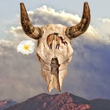 Glitter Tomb Georgia Okeefe Georgia O Keeffe Paintings Animal Skulls