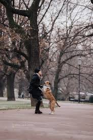 Pet photographers can provide you with digital prints, proofs, an album. Prague Pet Photographer Prague Photographer