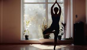 We did not find results for: Hermitage At Home Creating A Space For Your Yoga Practice Himalayan Institute