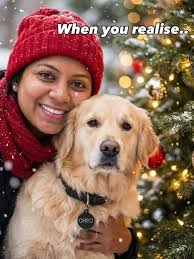 Real santa of our lives 🐶🎅🐾🐾 . . #christmas #xmas #cutedog #santa  #dogparent