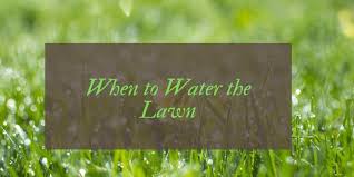 Water your lawn in the early morning. Best Time To Water A Lawn Garden Diy Blog