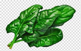 344 collard greens clip art images on gograph. Leaf Vegetable Leaf Chard Vegetable Green Plant Food Spinach Tatsoi Flower Collard Greens Romaine Lettuce Transparent Background Png Clipart Hiclipart