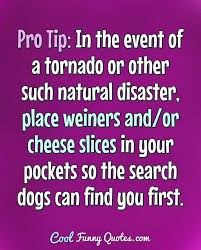 Here are the 200 best sarcastic quotes, from funny sarcastic quotes to comments,. Funny Dog Quotes Cool Funny Quotes