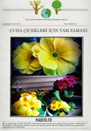 Cicek Cesitleri Ve Cicek Turleri Cicek Bakimi Cicek Cesitleri Cicek Turleri Cicek Isimleri 2020 Cicek Saksi Bitkileri Petunyalar
